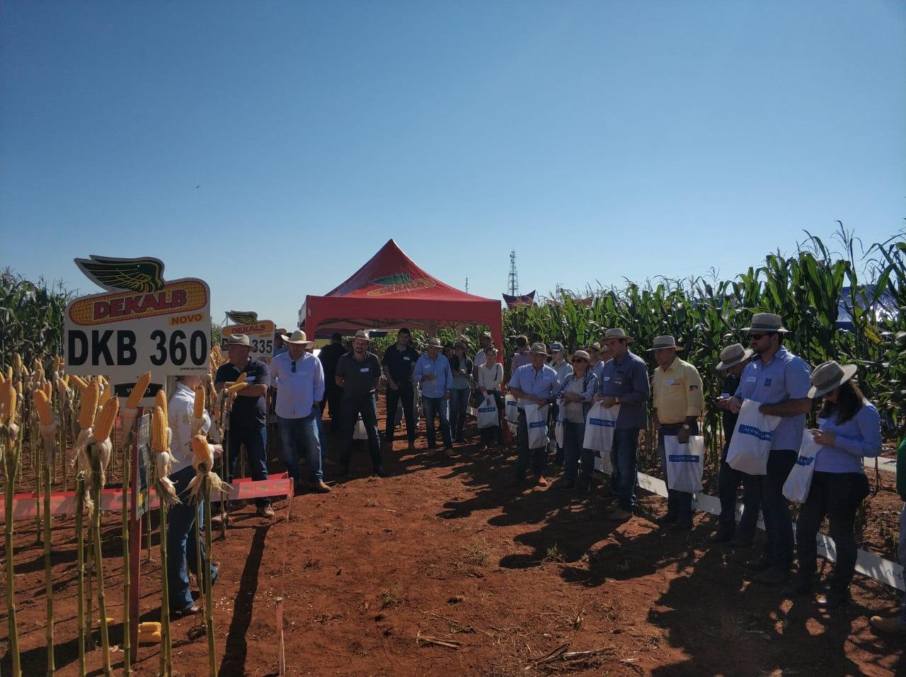 Circuito Tecnológico do Milho, realizado em Campo Novo dos Parecis (MT), no dia 17 de maio de 2019.